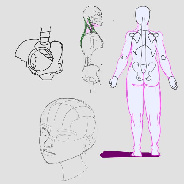 sketch