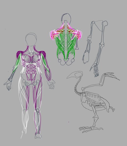 daily sketch